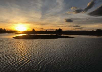 Flooded Wetland Construction